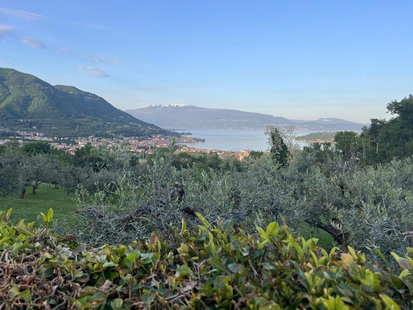 La Finestra Sul Garda Dreaming Holidays San Felice del Benaco Exterior foto